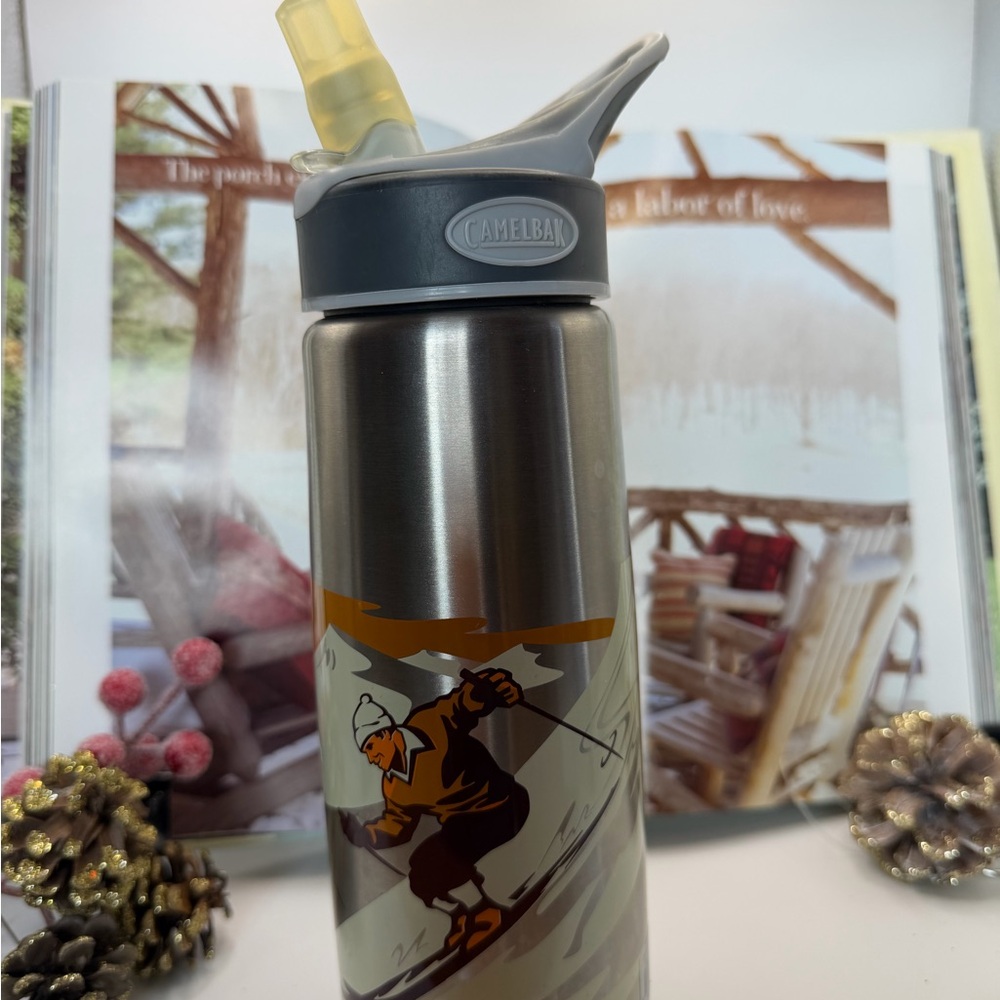 ā„ļøā„ļø Last Chanceā„ļøā„ļø CamelBak Silver Stainless Steel Water Bottle - Ski Graphic - Picture 8 of 13
